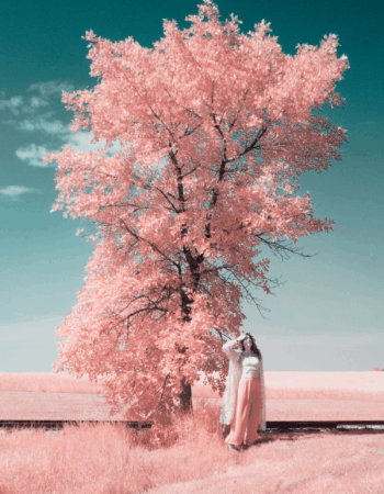 Near infrared photo at 590nm in Alberta, Canada