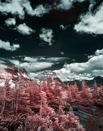 Near infrared photograph, 850 nm, Glacier Park, Montana