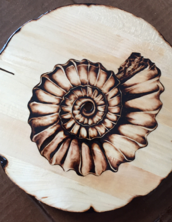 Pyrography clock of an ammonite fossil clock base