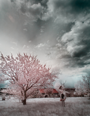 Near infrared photo at 850nm in Alberta, Canada