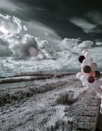 Near infrared photo at 850nm in Alberta, Canada