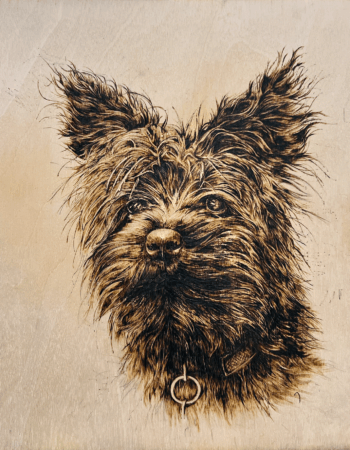 Pyrography piece of kernin terrier dog named Shadow
